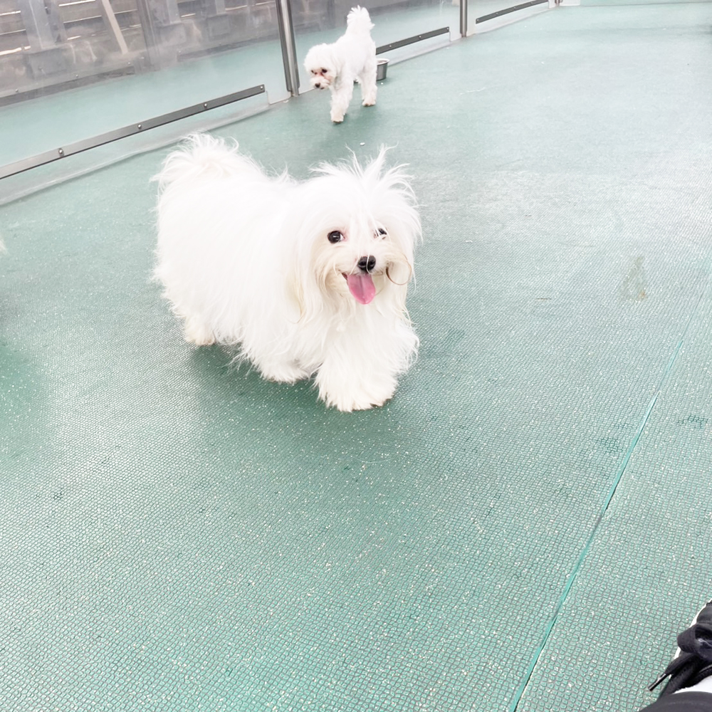 Ｗａｎ活で生徒が撮影した写真♪②